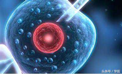 试管婴儿，成功率有多高？