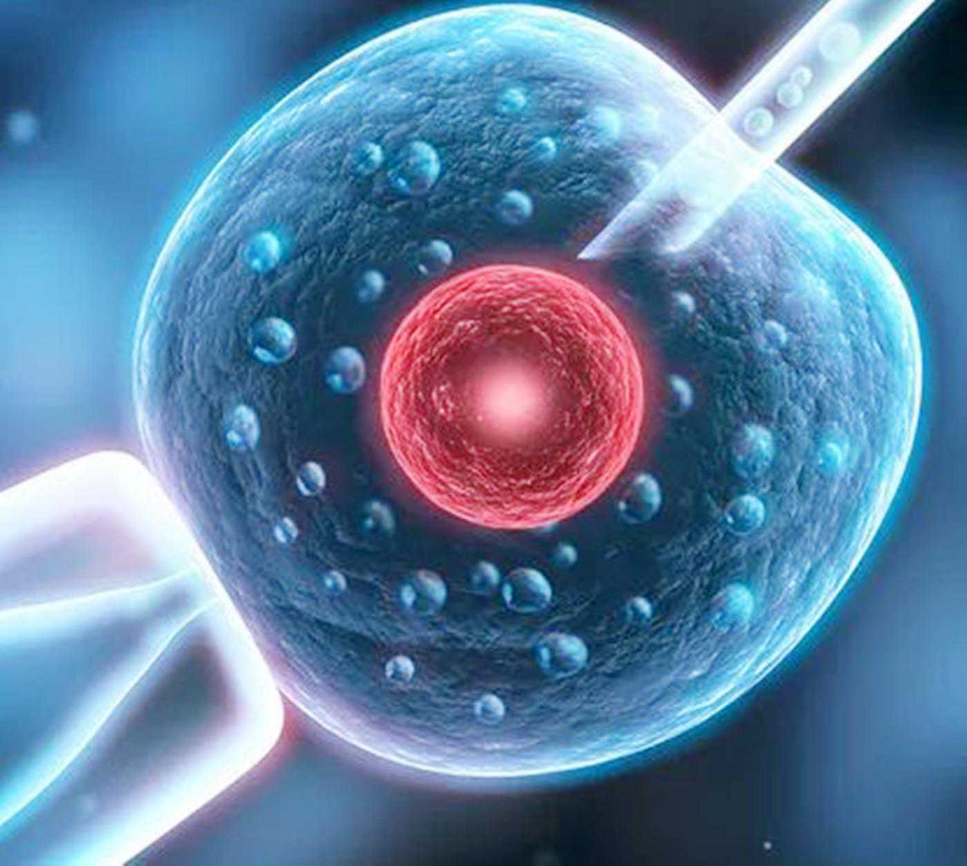 试管孕育理论次数，与实际的差距有多大？试管妈妈：一次都挺受罪