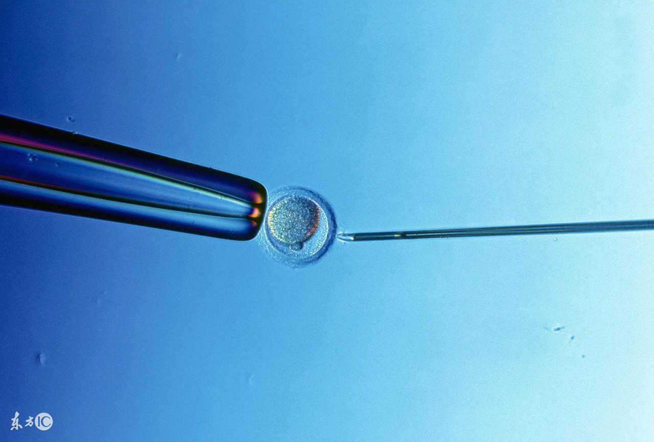 整个试管婴儿流程是怎么样的？