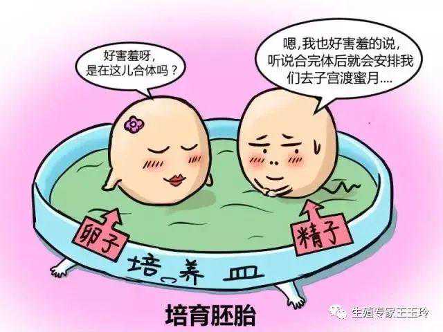 一代试管婴儿治疗女性不孕症