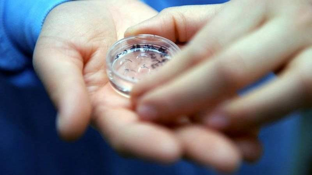 输卵管堵塞，可以做试管婴儿吗？