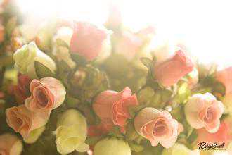 辞职看世界因爱情 做试管婴儿因想要家圆满