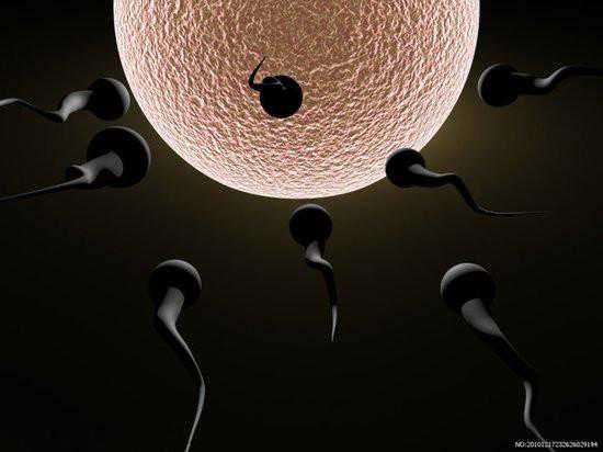 试管婴儿移植囊胚和胚胎移植的区别是什么