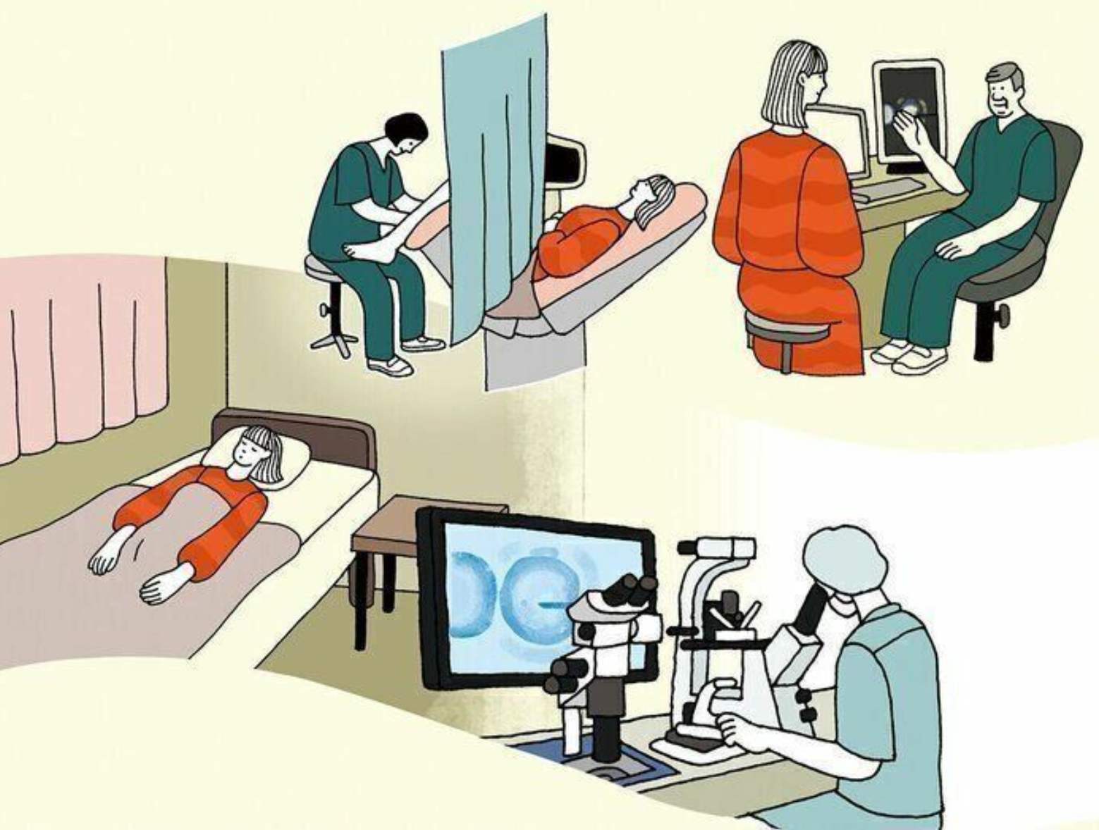 了解试管婴儿或ICSI的过程 咨询日本专家指导