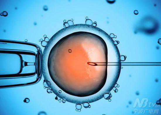 宁波已成功孕育3081名试管婴儿 最大孩子15岁