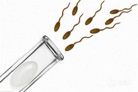 试管婴儿费用如何减少成为我们关注的话题