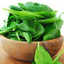 试管婴儿周期前必备—营养提高成功率