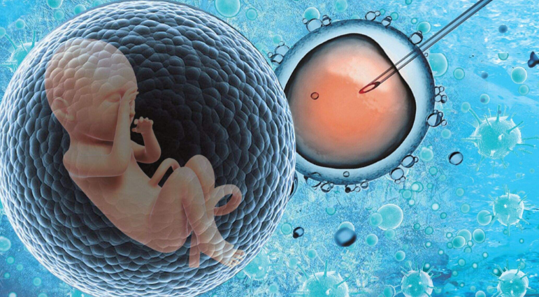 试管告诉你，生活远比电视剧要狗血