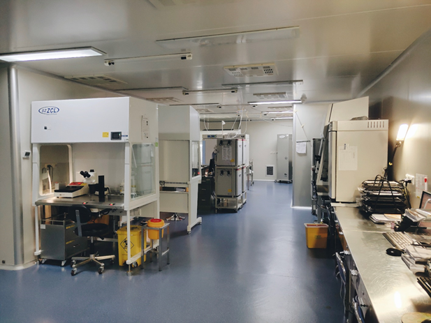 今天是“世界胚胎学家日”，图文揭秘试管婴儿的全过程