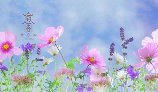 “多年不孕，试管2次失败，内膜薄，无优势卵泡”案例分析