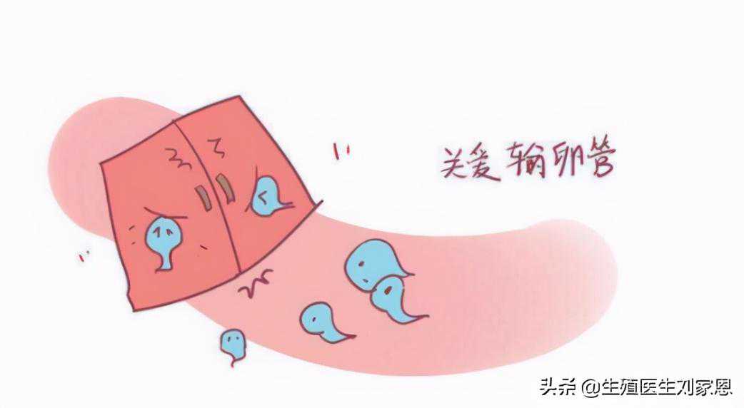 输卵管积水想做试管婴儿，需要先处理掉积水问题吗