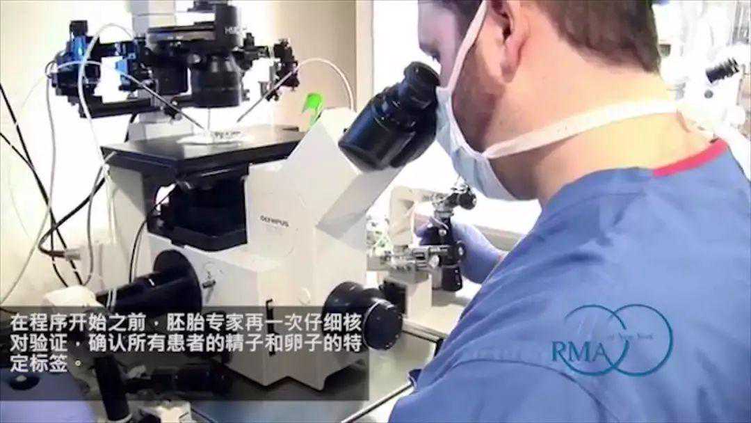 视频丨带您全程揭秘美国顶级试管婴儿胚胎实验室