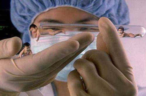 试管宝宝更聪明是事实，智商到底靠遗传还是环境呢？