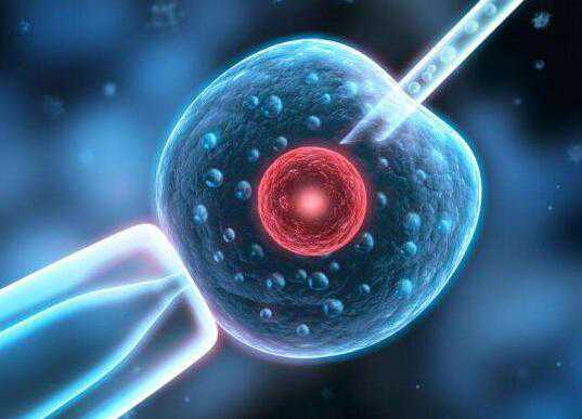 每一个做试管婴儿的人，基本都被这12个谣言骗过，看看你中招没？