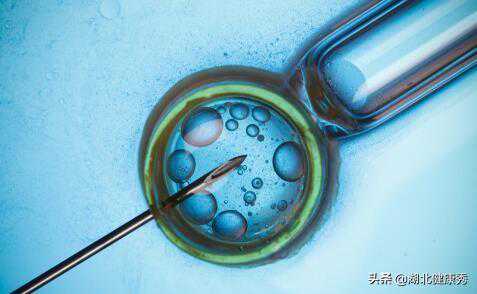 试管婴儿取卵少，跟什么因素有关？年龄只是其中之一