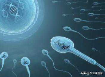 关于试管婴儿，女性经常问哪些问题？我总结出了4个