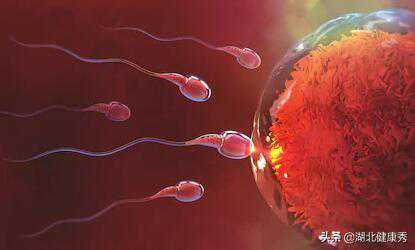 试管婴儿过程中，总共有几个步骤？这个回答太实在了