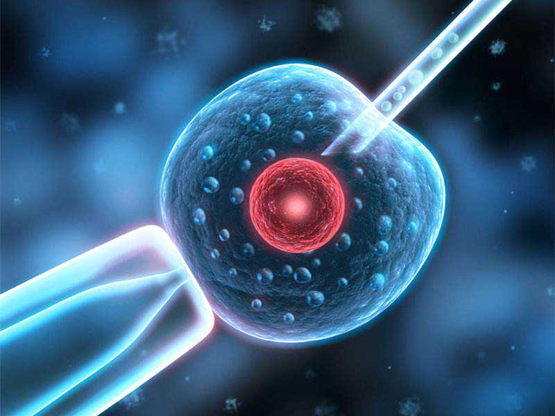 试管婴儿和正常婴儿不一样？答案可能让你出乎意料