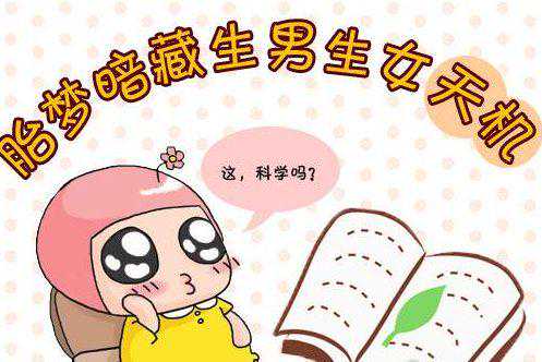 因为做了这样的胎梦，所以怀孕期间就知道生的是男是女