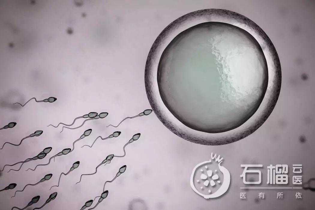 备孕前警惕男方这个隐藏因素，或致胎儿停育、反复流产