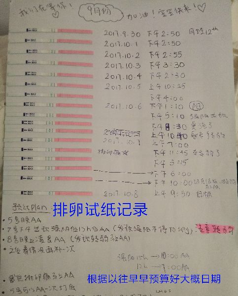 科学备孕一年多了一发就中，满满经验干货，接好孕啦！