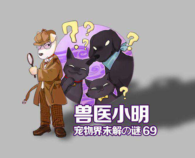 辟谣！弓形虫预防有疫苗？根本不存在，别让三无假药害了宠物