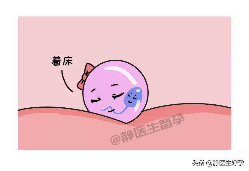 静医生备孕：备孕期间，如何知道受精卵有没有着床？