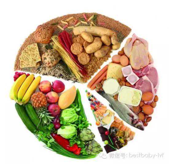 备孕家庭须知道 孕前营养搭配四原则