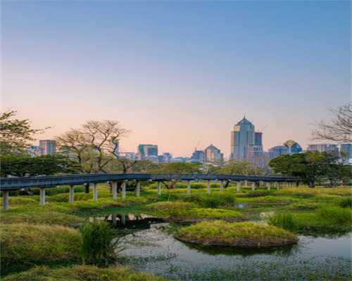 同卵龙凤胎的名词解释