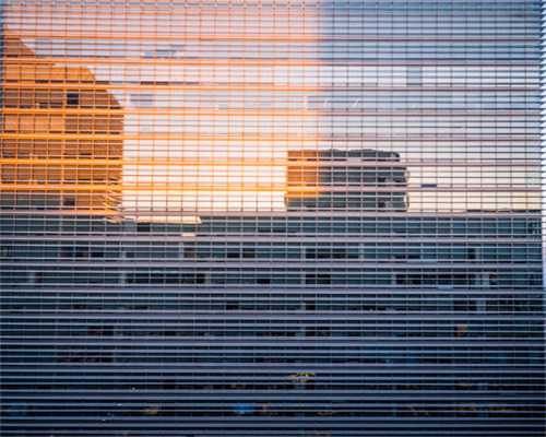 卵泡生成素正常值