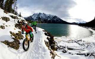 广州心安国际试管（广州唯馨宝国际试管）