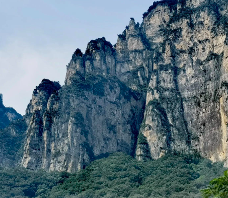 经量多？经期长？血性分泌物？提防“子宫内膜癌”