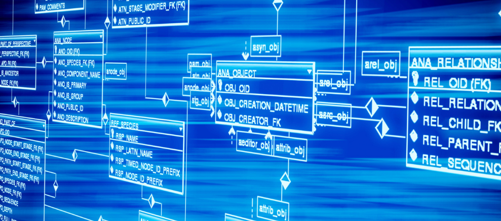 做试管婴儿前，一对夫妻需要做哪些准备？