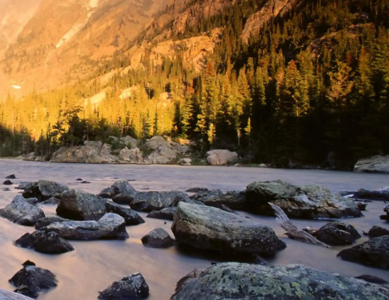 试管婴儿出生会得到特别对待吗？